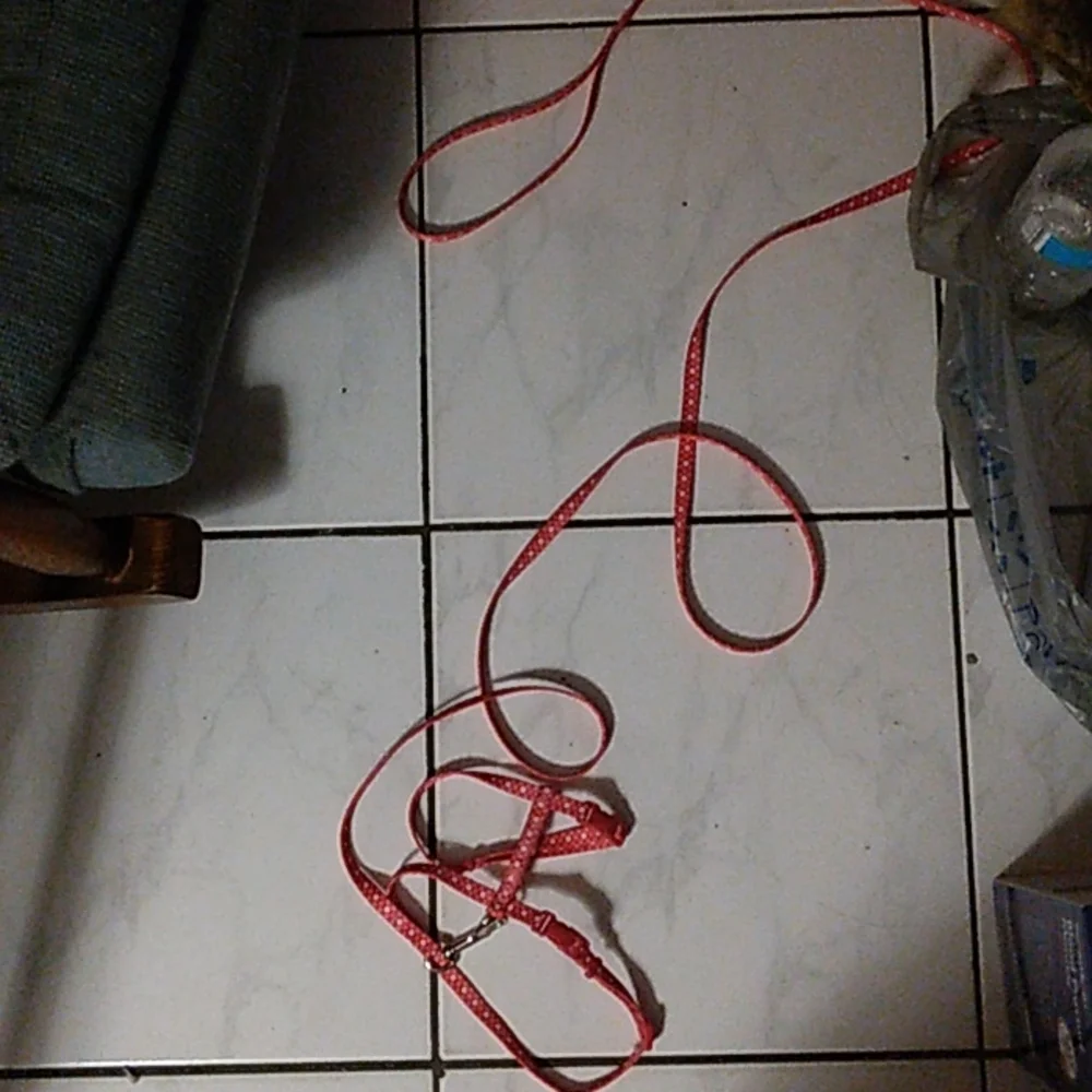 NWOT Coastal CAT harness only tried on my cat shes too old to teach!